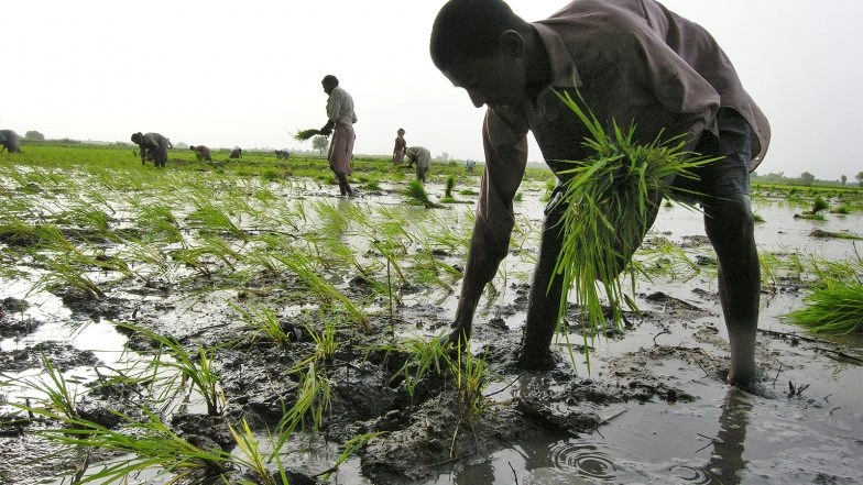 World News | Pakistani Authorities Target Farmers Instead of Fixing Agricultural Collapse