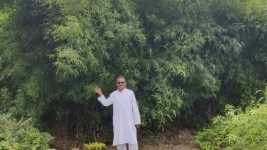 Business News | The Bamboo Miracle: How The Art of Living Helped a Village Grow Wealth from Wasteland