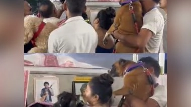 Entertainment News | When Zubeen Garg's Canine Companions Joined in for the Last Goodbye, Assam CM Shares Emotional Moment