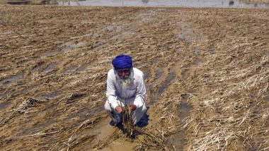 Business News | Mixed Rainfall in India's Agri Regions, Floods and Deficits, Raise Food Inflation Risk: Report