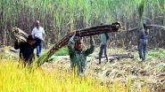 Business News | ISMA Urges Centre for Revision of Sugar MSP to Rs 40.2/kg to Support Mills, Farmers