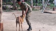 India News | Inspired by PM Modi's 'Mann Ki Baat', BSF Trains 150 Indian Breed Dogs, Including One Gold Medalist at 2024 Championship
