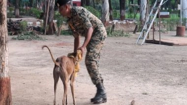 India News | Inspired by PM Modi's 'Mann Ki Baat', BSF Trains 150 Indian Breed Dogs, Including One Gold Medalist at 2024 Championship