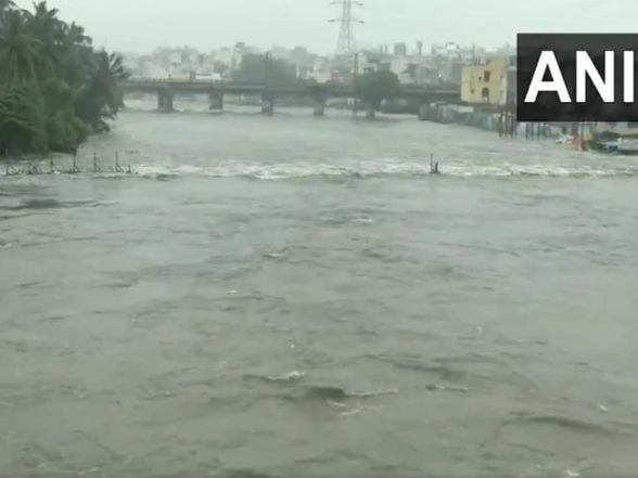 LatestLY - Politics - News Image