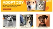 Business News | Heads Up For Tails (HUFT) Launches 'Adopt Joy' Directory to Help Pets in Need Across India Find Homes