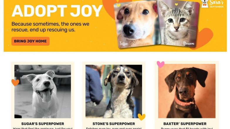 Business News | Heads Up For Tails (HUFT) Launches 'Adopt Joy' Directory to Help Pets in Need Across India Find Homes