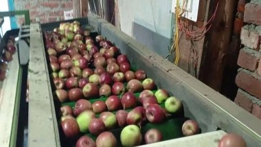 India News | Himachal Apple Farmers Face Severe Crop Losses Due to Harsh Weather, Demand Govt Action