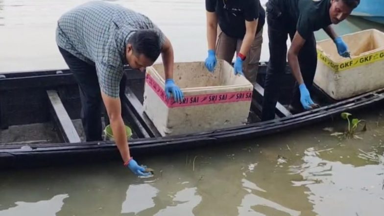 India News | Assam: 104 Hatchlings of Three Turtle Species Released at Hadug Beel in Pobitora Wildlife Sanctuary