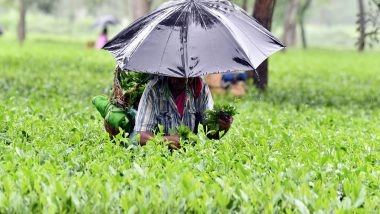 India News | Assam Set to Benefit from GST Reforms Across Key Sectors