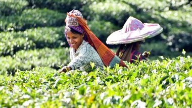 India News | Centre Launches NCVET-approved Skill Courses on Tea Sommeliers and Tea Tasting