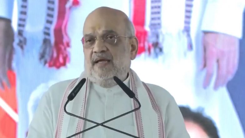 PM Narendra Modi Changed Nation’s Perspective by Using Term ‘Divyang’ Instead of ‘Viklang’, Says Amit Shah (Watch Videos)