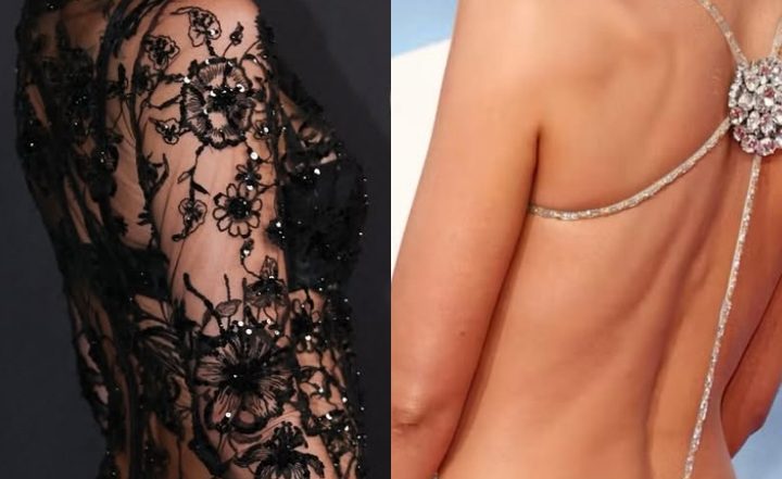 Sheer Perfection! Dakota Johnson and Margot Robbie Wow in Bold Red Carpet Looks