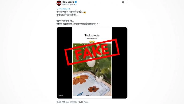 Eggs Growing on Plants? Viral Video of Man 'Plucking' Egg Is Fake, Eggs Were Likely Glued to Brinjal Calyx