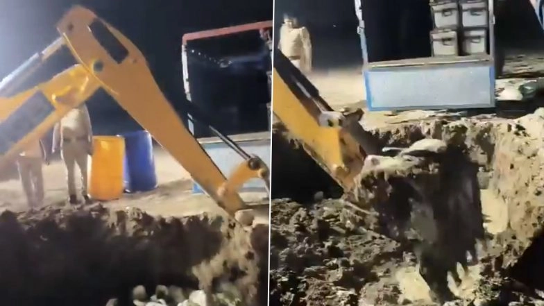 Greater Noida: 1,150 Kg 'Fake Paneer' Destroyed by Food Safety Officials After Seizure on Yamuna Expressway, 2 Constables Suspended for Alleged Assault After Protest