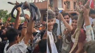 Gogaji Mela in Rajasthan: Devotees Dance With Live Snakes To Honour Folk Deity Gogaji Maharaj on Teja Dashmi, Video Goes Viral