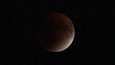 Blood Moon Total Lunar Eclipse 2025: People Gather at Nehru Planetarium in Delhi To Witness Chandra Grahan (Watch Videos)