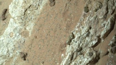 Did Life Exist on Mars? NASA Perseverance Rover Discovers Potential Biosignatures in ‘Cheyava Falls’ Rock Sample Found on Red Planet