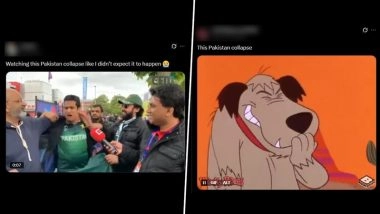 From 113/1 to 146 All Out! Pakistan Funny Memes Go Viral After Green Shirts Suffer Dramatic Collapse Against India in IND vs PAK Asia Cup 2025 Final