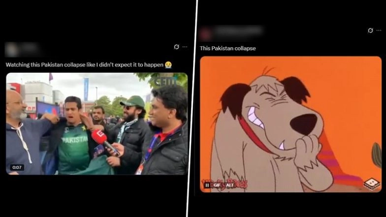 From 113/1 to 146 All Out! Pakistan Funny Memes Go Viral After Green Shirts Suffer Dramatic Collapse Against India in IND vs PAK Asia Cup 2025 Final