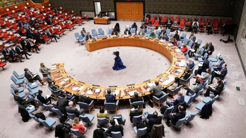 Gaza Peace Plan: UNSC Backs Historic Resolution Endorsing Donald Trump’s Peace Plan for Gaza; Approves International Force