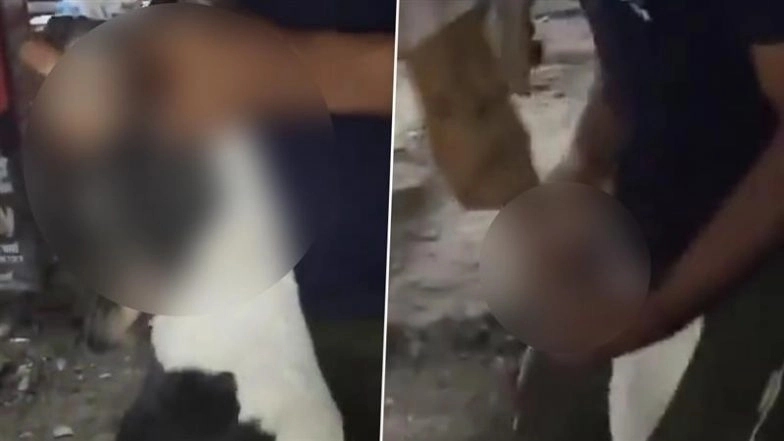 Unnao: Father Brutally Kills Stray Dog by Pulling Its Jaw Apart After It Bit His Son in UP, Police Register Case After Disturbing Video Goes Viral (Viewer Discretion Advised)
