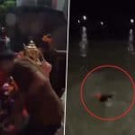 Haridwar: Man Swept Away in Ganga River During Ganesh Visarjan at Sati Ghat in Kankhal, Video Surfaces