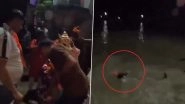 Haridwar: Man Swept Away in Ganga River During Ganesh Visarjan at Sati Ghat in Kankhal, Video Surfaces