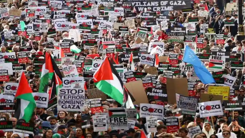 ‘Don’t Normalize Genocide’: Thousands Take Part in Pro-Palestinian Rally in New Zealand’s Auckland