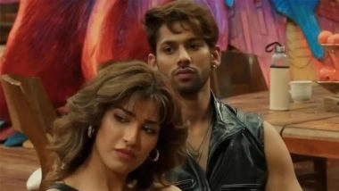 ‘Bigg Boss 19’: Nehal Chudasama and Baseer Ali EVICTED From Salman Khan’s Reality Show in Shocking Double Elimination? Here’s What We Know