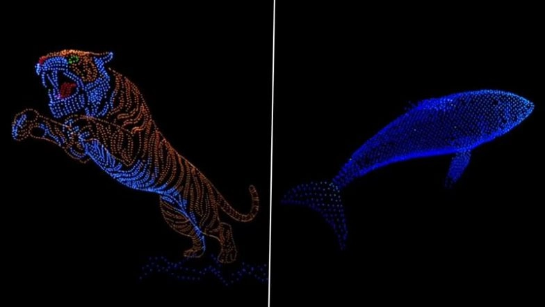 Mysuru Dasara 2025: From Tiger and Whale to Eagle Formations, Breathtaking Drone Show Lights Up Night Sky (Watch Video)