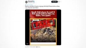 Delhi Girls PG Hostel Pipeline Blocked Due to Condoms? Fact Check Reveals Viral Video From Nigeria Circulated With Fake Claim