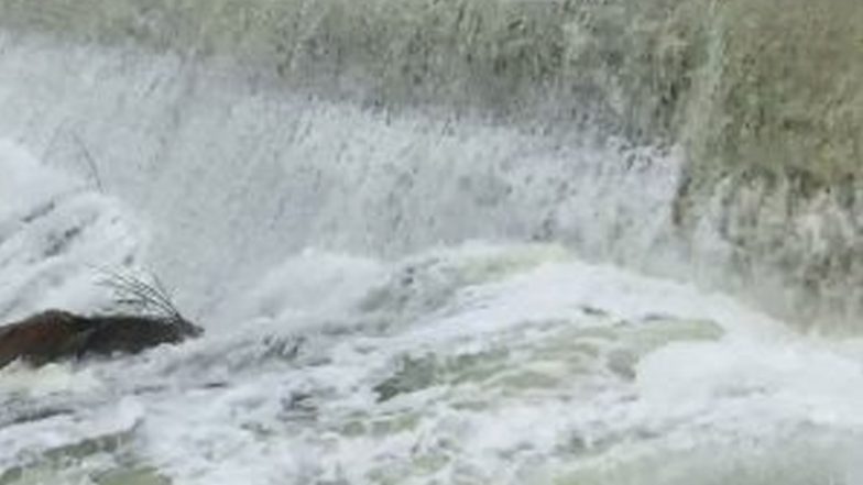 Tamil Nadu: Flood Warning Issued for Villages Along Palar River Following Surplus Water Release From Palar Dam