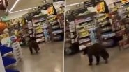 Arizona: Bear Walks Into Grocery Store, Checks Out Produce Before Leaving in Oro Valley; Video Surfaces