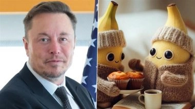 ‘Add a Girlfriend’: Elon Musk Encourages Users To Try New Text Prompt to New Grok Imagine; Netizens React With Funny Videos
