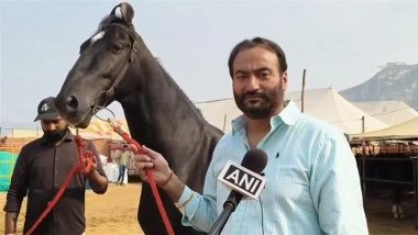 Pushkar Cattle Fair 2025: Shahbaz, INR 15-Crore Horse From Chandigarh, Becomes Star Attraction in Ajmer; Know Why