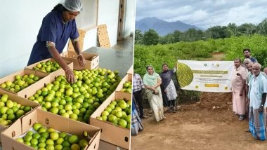 India Sent 1st-Ever Air Shipment of GI-Tagged ‘Limes’ to UK, Says Union Minister Piyush Goyal (See Pics)