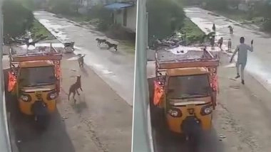 Dog Attack in Hanmakonda: 7-Year-Old Girl Hospitalised After Pack of Stray Dogs Attack Her in Telangana’s New Shayampet, Disturbing CCTV Video Surfaces