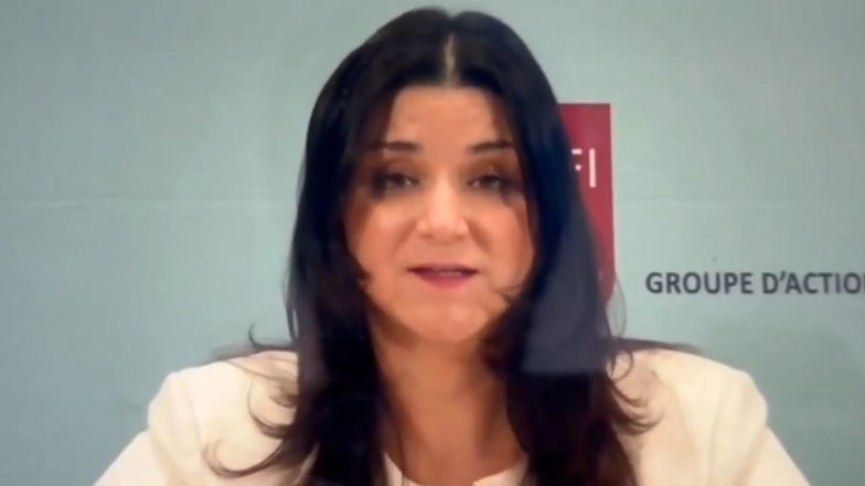 ‘Exit From Greylist Does Not Give Immunity From Global Scrutiny on Money Laundering and Terror Financing’: FATF Warns Pakistan (Watch Video)