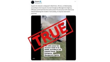 Did a Massive Soybean Grain Bin Elevator Collapse in Iroquois County of Illinois? Viral Video of Grain Silo Collapsing Is Real