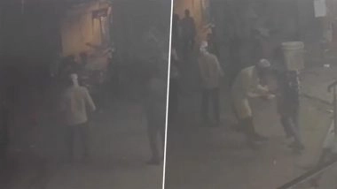 Taloja Dog Attack: Residents Furious As Stray Dog Bites 5, Including 4 Children, in 20-Minute Rampage; Shocking Video Shows Child Screaming During Mauling