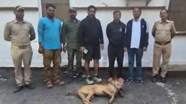 Bahraich Wolf Attack Case: Man-Eating Wolf That Attacked Over 25 People Neutralised, Says Forest Department