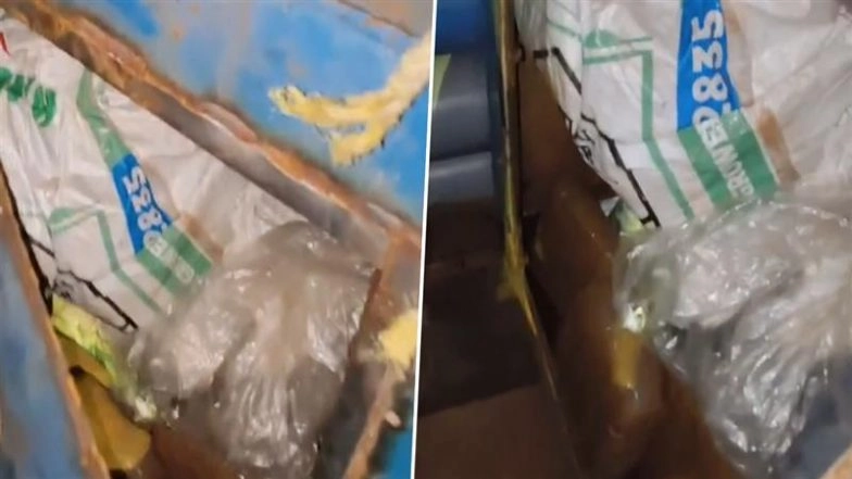 Drug Bust in Vijayawada: DRI Seizes 1,300 Kg Ganja Worth INR 2.6 Crore From Secret Compartment in Truck, 3 Including Mastermind Arrested (Watch Video)