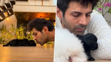 Kartik Aaryan Adds New Member ‘Chatori’ to His Family This Diwali, Introduces Katori’s Little Sister on Instagram (See Pics and Video)