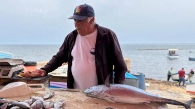 Invasive Species: Unwanted Travelers on International Ships