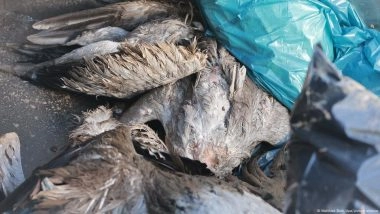 Disease in Flight: Bird Flu Spreads in Europe, US