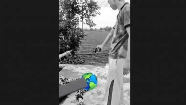 Meerut Murder Caught on Camera: Man Kidnapped, Shot Dead at Tube Well in Lohia Nagar; Probe On