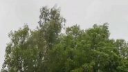 India News | West Bengal's Birbhum Receives Early Morning Rain