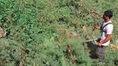 India News | J-K: Anti-narcotics Drive Launched Across South Kashmir