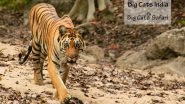 Business News | Big Cats Launches Global Wildlife Safari Experiences, Empowering Communities and Protecting Majestic Predators