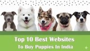 Business News | Top 10 Best Websites to Buy Puppies in India